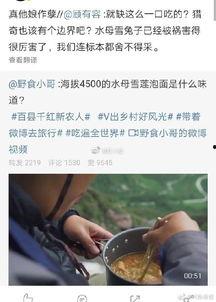 兔子爆料博主视频,视频背后的真实故事